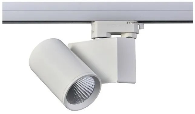 Σποτ Ράγας Τριφασικό LED 20W 3000Κ Ρυθμιζόμενο Lisor Aca-LISOR2030W4N-Λευκό LISOR2030W4N