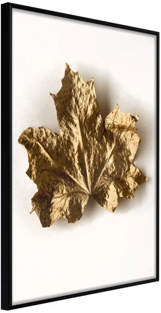 Αφίσα - Dried Maple Leaf - 20x30 - Μαύρο - Χωρίς πασπαρτού