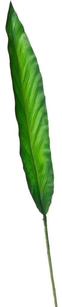 Supergreens Τεχνητό Φύλλο Πουλί του Παραδείσου Πράσινο 73 εκ.