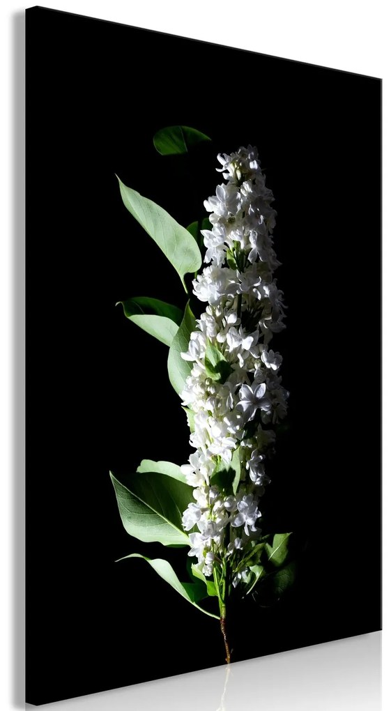 Πίνακας - White Lilacs (1 Part) Vertical - 40x60