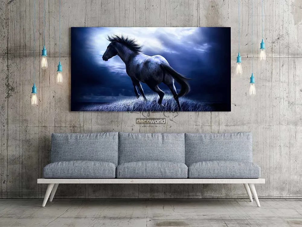 Πίνακας σε καμβά με άλογο KNV63 80cm x 120cm