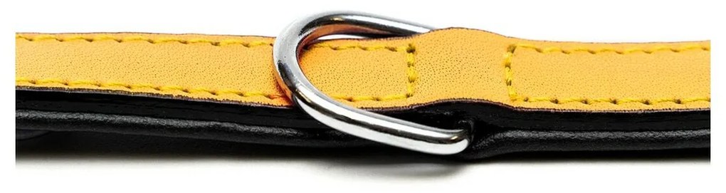 Κολλάρο Σκύλου Gloria Γεμισμένο Κίτρινο (45 x 2 cm)