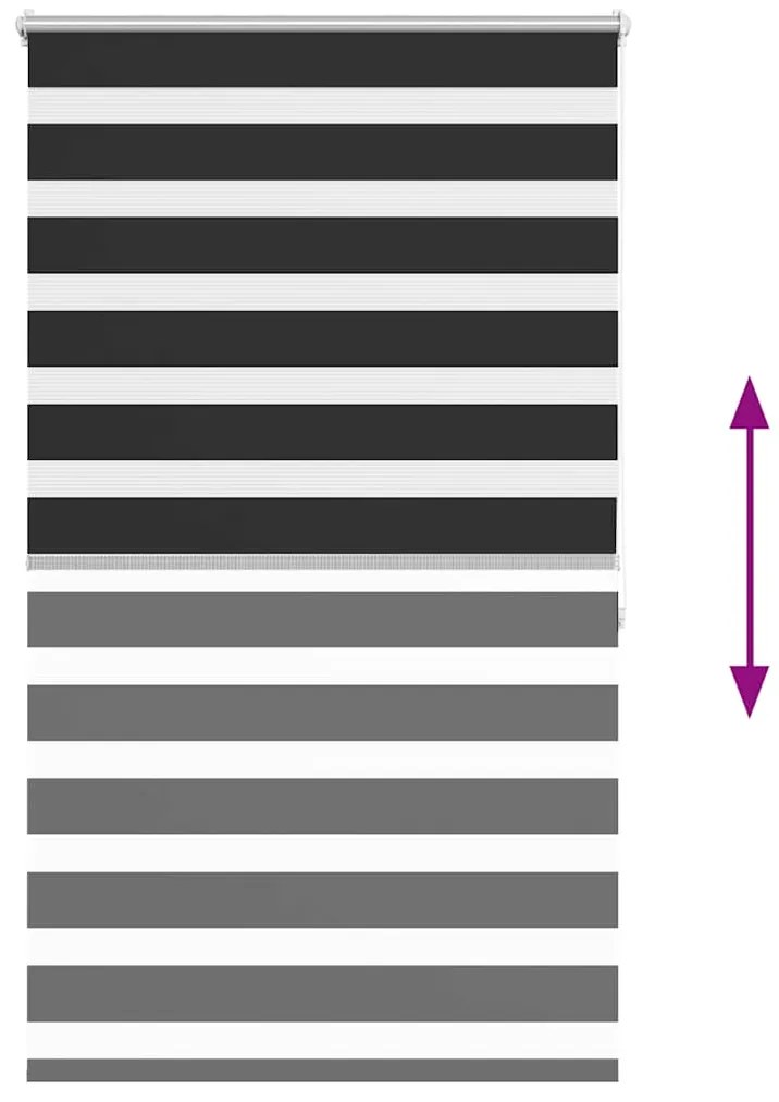 vidaXL Ρόλερ Zebra Μαύρο 100 x 175cm