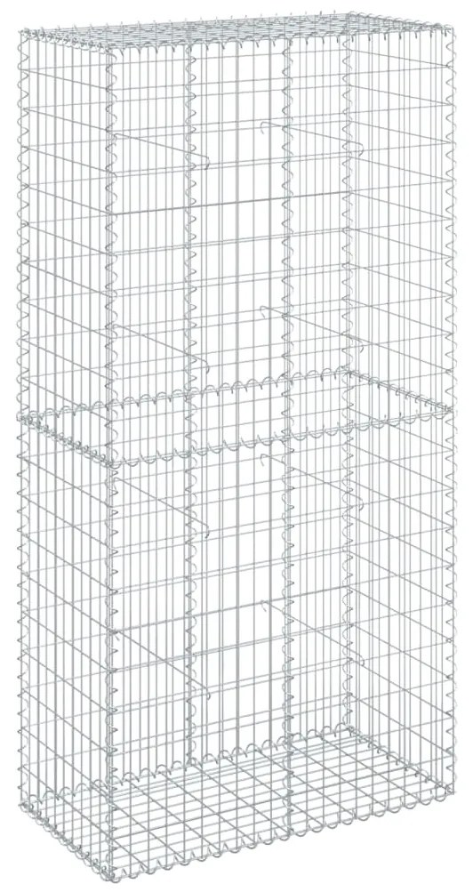 vidaXL Συρματοκιβώτιο με Κάλυμμα 100x50x200εκ. από Γαλβανισμένο Χάλυβα