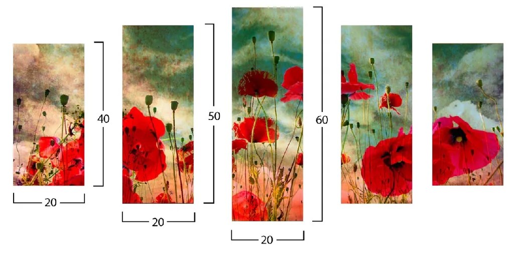 ΠΙΝΑΚΑΣ ΠΕΝΤΑΠΤΥΧΟ MDF POPPY FIELD HM7206.03 100X0,3X60 εκ.