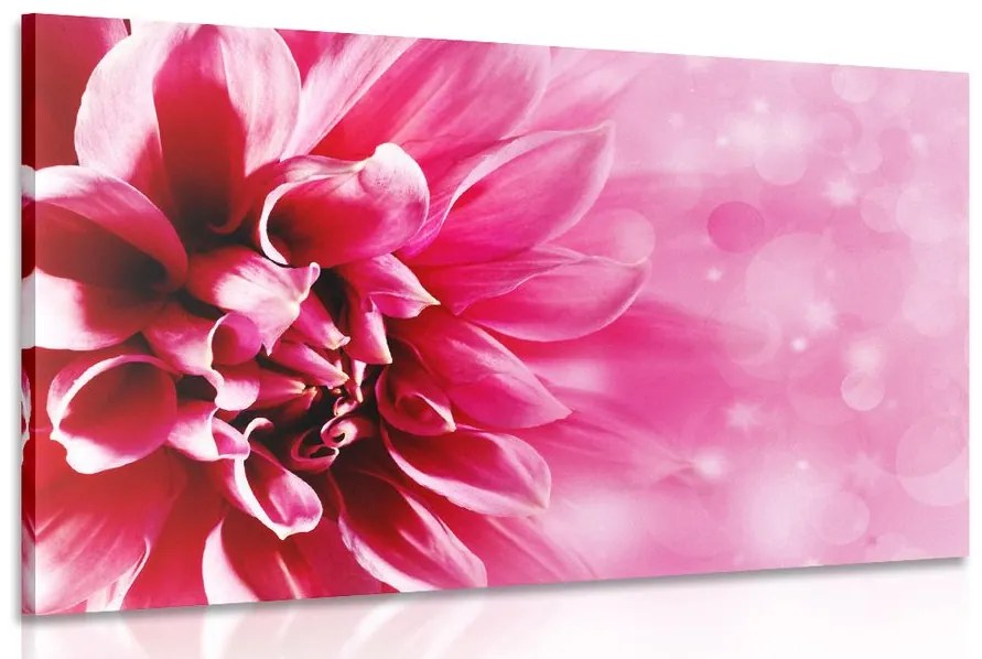 Εικόνα ροζ λουλούδι - 120x80