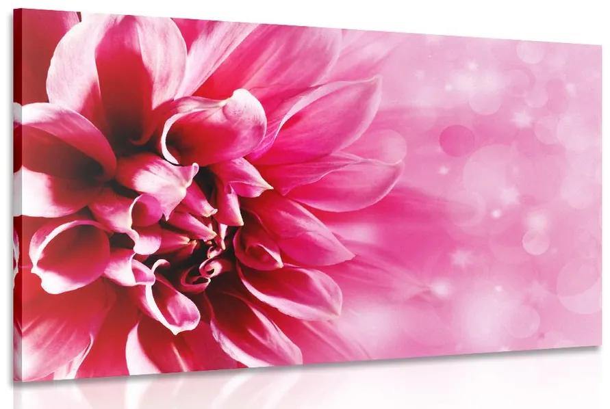 Εικόνα ροζ λουλούδι - 90x60