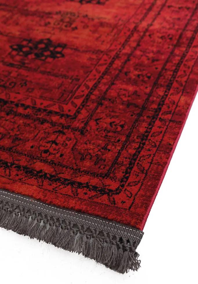 Κλασικό χαλί Afgan 8127G RED Royal Carpet - 160 x 160 cm - 11AFG8127G72.160160