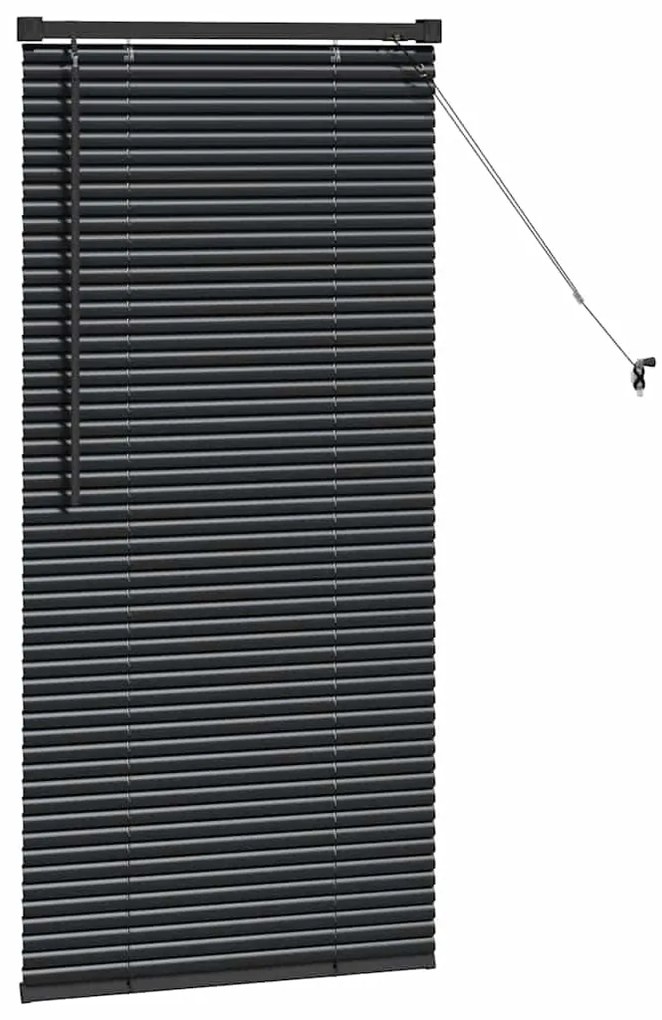 vidaXL Ρολό Παραθύρου με κουρτίνες Μαύρο Αλουμίνιο