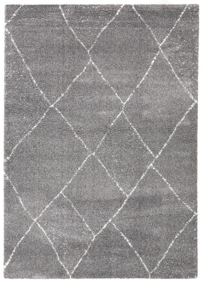 Χαλί Lilly 313 690 Royal Carpet - 200 x 290 cm