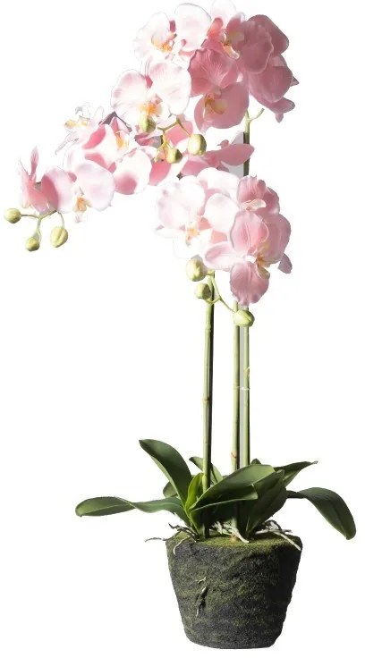 Supergreens Τεχνητό Φυτό Ορχιδέα Phalaenopsis Real Touch Ροζ με Βάση Moss 85 εκ.