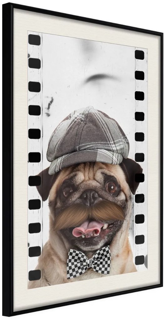 Αφίσα - Dressed Up Pug - 20x30 - Μαύρο - Με πασπαρτού