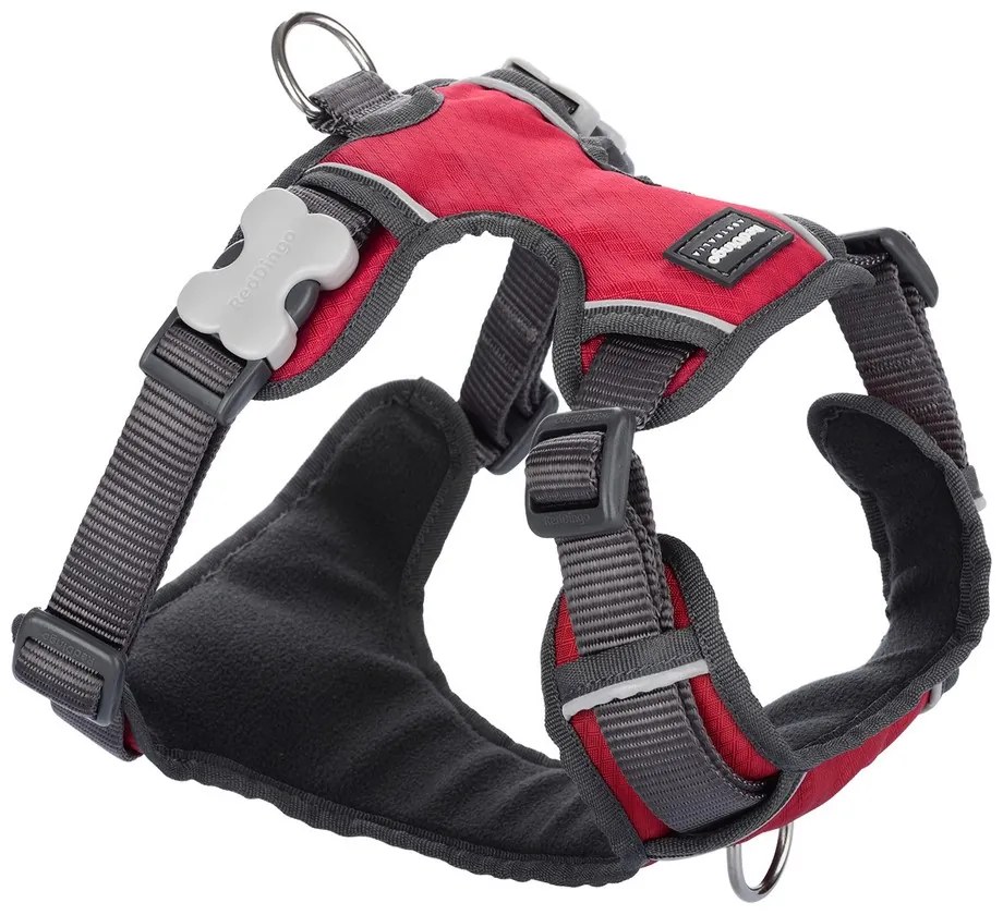 Λουρί Σκύλου Red Dingo Γεμισμένο Κόκκινο Μέγεθος L