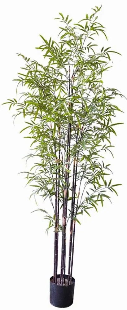 Τεχνητό Δέντρο Μπαμπού Nigra 6001-6 210cm Green Supergreens Polyethylene