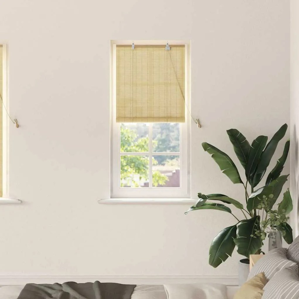 vidaXL Ρολά και Σκίες Παραθύρων Φυσικό 60 x 160 εκ. Μπαμπού