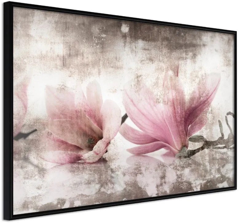 Αφίσα - Picked Magnolias - 90x60 - Μαύρο - Χωρίς πασπαρτού