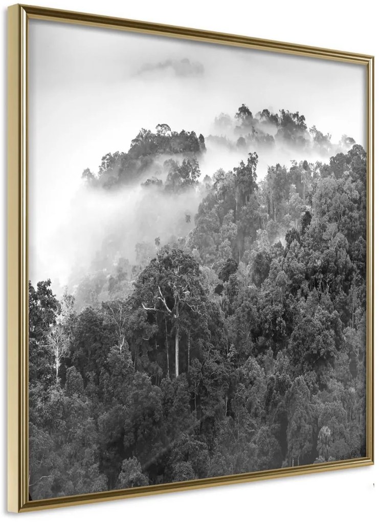 Αφίσα - Foggy Forest - 30x30 - Χρυσό - Χωρίς πασπαρτού