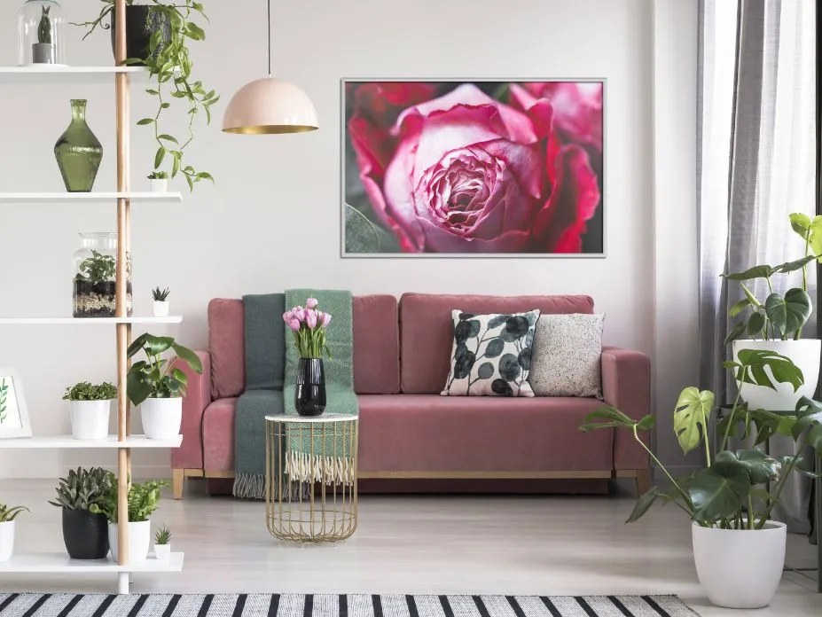 Αφίσα - Blooming Rose - 30x20 - Χρυσό - Με πασπαρτού