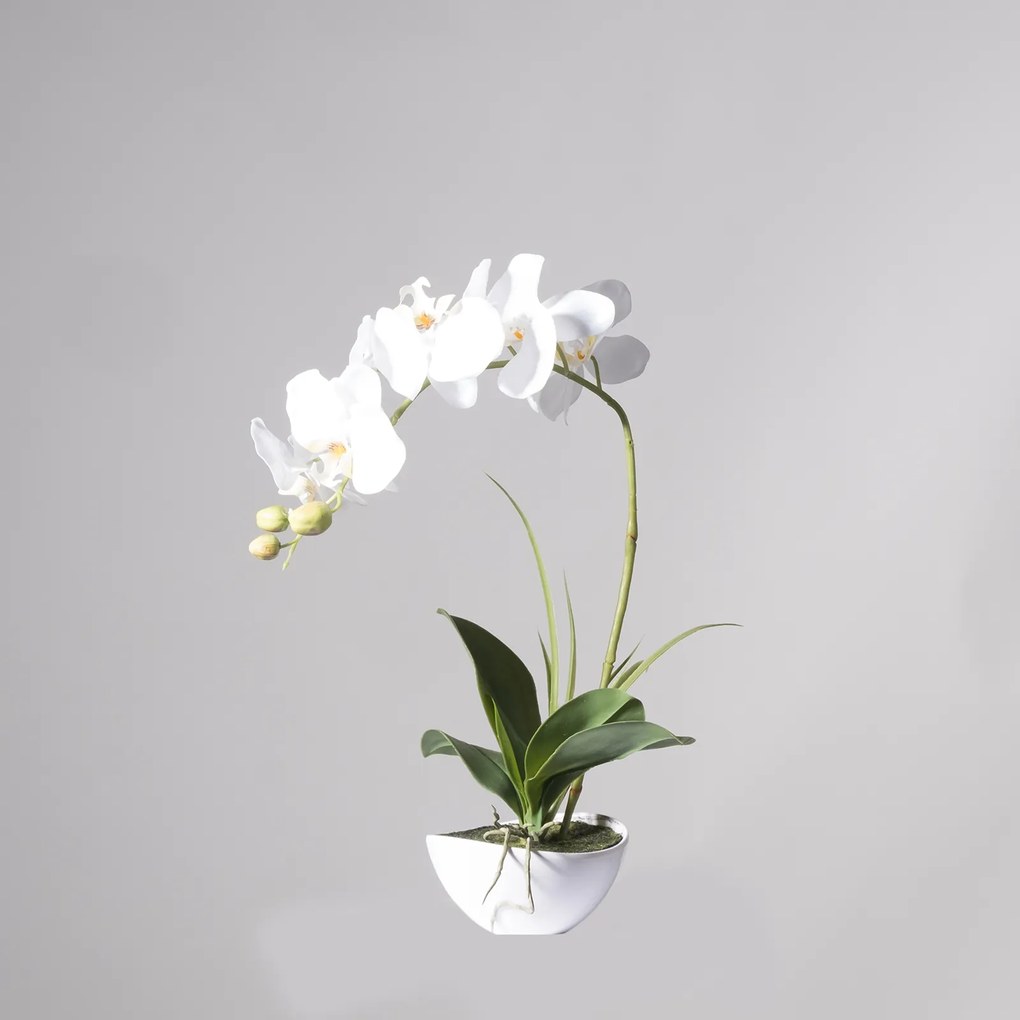 Supergreens Τεχνητό Φυτό Ορχιδέα Phalaenopsis Real Touch Λευκή με Κασπώ 50 εκ. - 8170-6