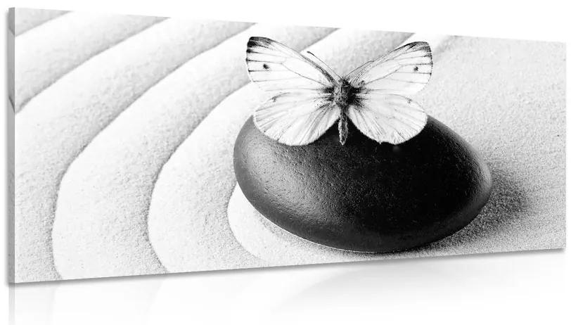 Εικόνα Zen πέτρα με πεταλούδα σε ασπρόμαυρο σχέδιο - 100x50