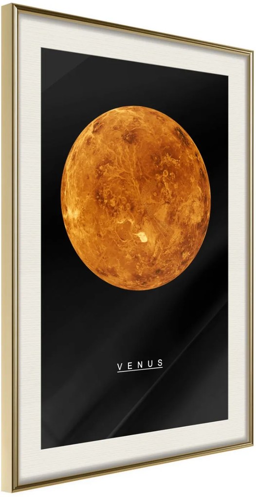 Αφίσα - The Solar System: Venus - 40x60 - Χρυσό - Με πασπαρτού