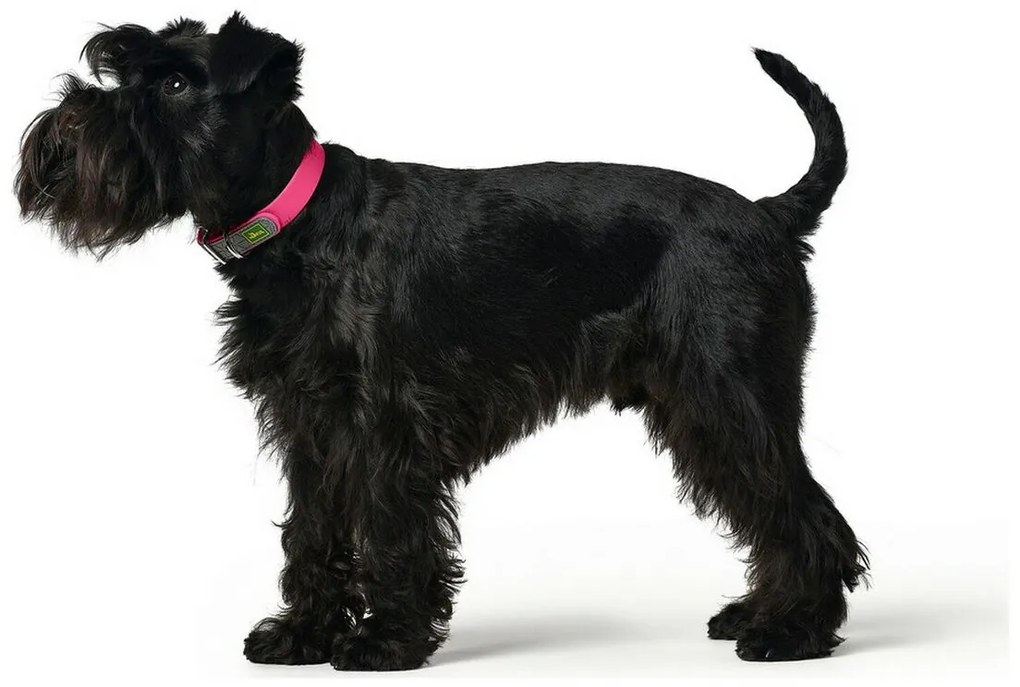 Κολλάρο Σκύλου Hunter Convenience Ροζ Μέγεθος M (38-46 cm)