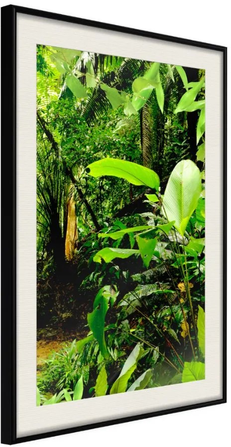 Αφίσα - In the Rainforest - 40x60 - Μαύρο - Με πασπαρτού