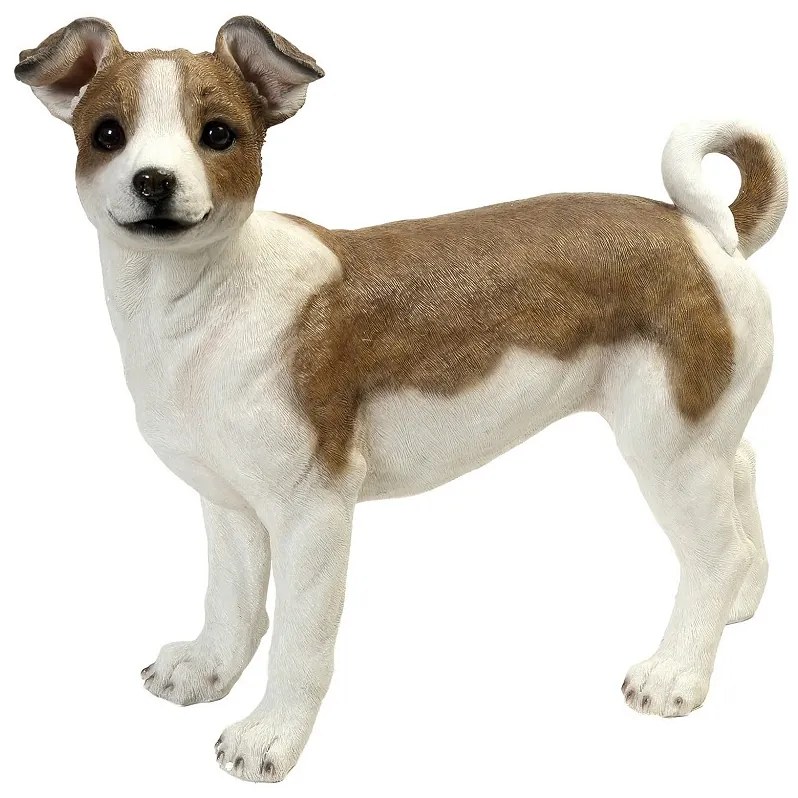 ΦΙΓΟΥΡΑ ΣΚΥΛΟΣ  JACK RUSSELL TERRIER ΠΟΛΥΡΕΖ. 41,5Χ21Χ36,3ΕΚ KUL205