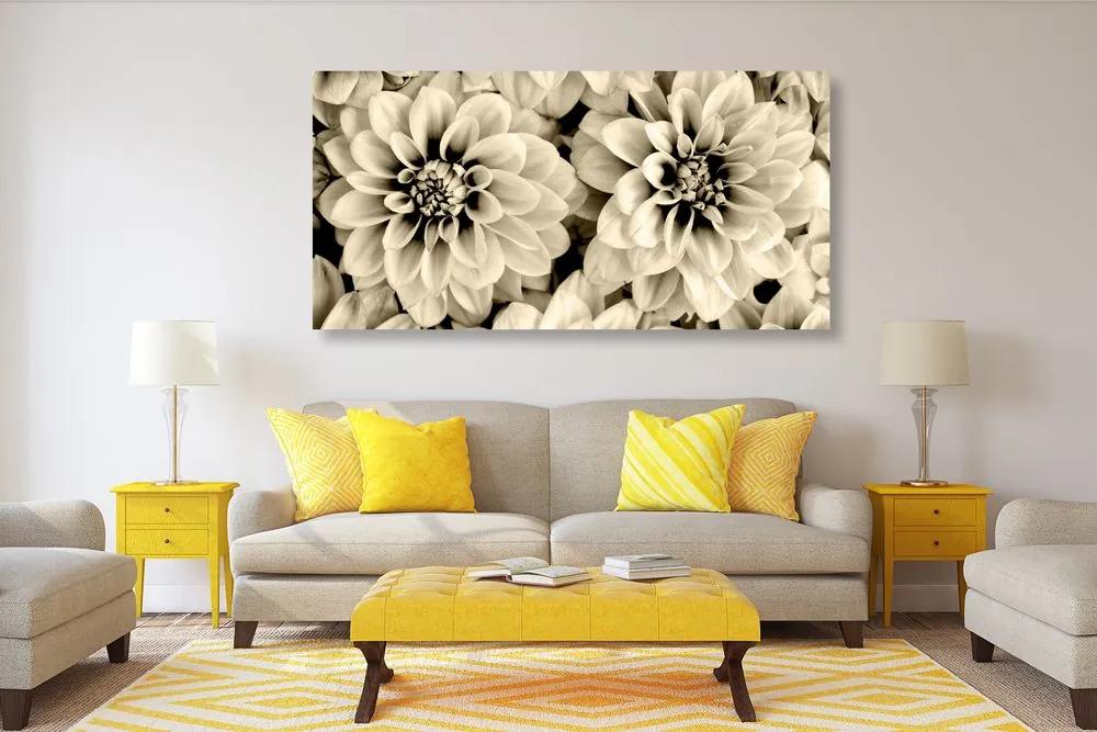 Εικόνα λουλούδια ντάλιας σε σχέδιο σέπια - 100x50