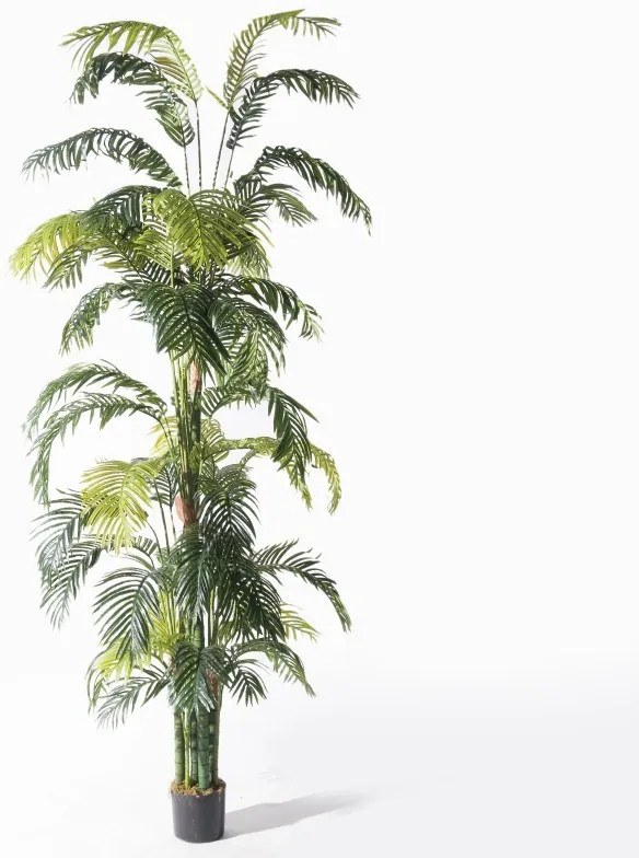 Supergreens Τεχνητό Δέντρο Αρέκα "Hawai" Πράσινο 300 εκ