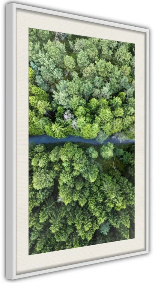 Αφίσα - Forest from a Bird's Eye View - 20x30 - Χρυσό - Χωρίς πασπαρτού