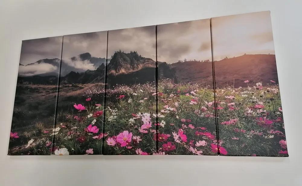 5 μέρη εικόνα λιβάδι ανθισμένα λουλούδια - 200x100