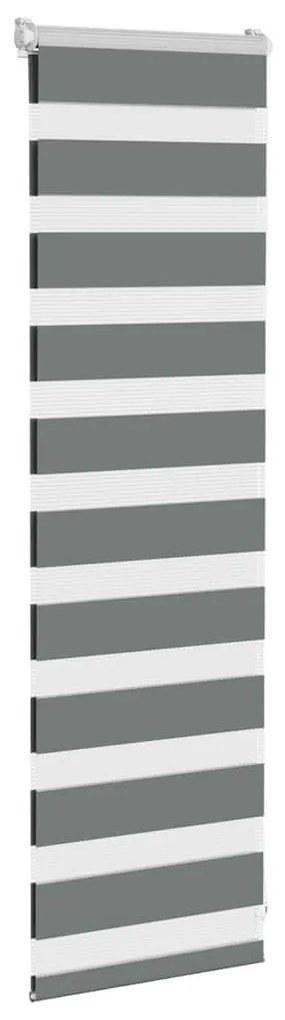 Zebra Blind Σκούρο γκρι 40x100 cm Πλάτος υφάσματος 35,9 cm - Γκρι