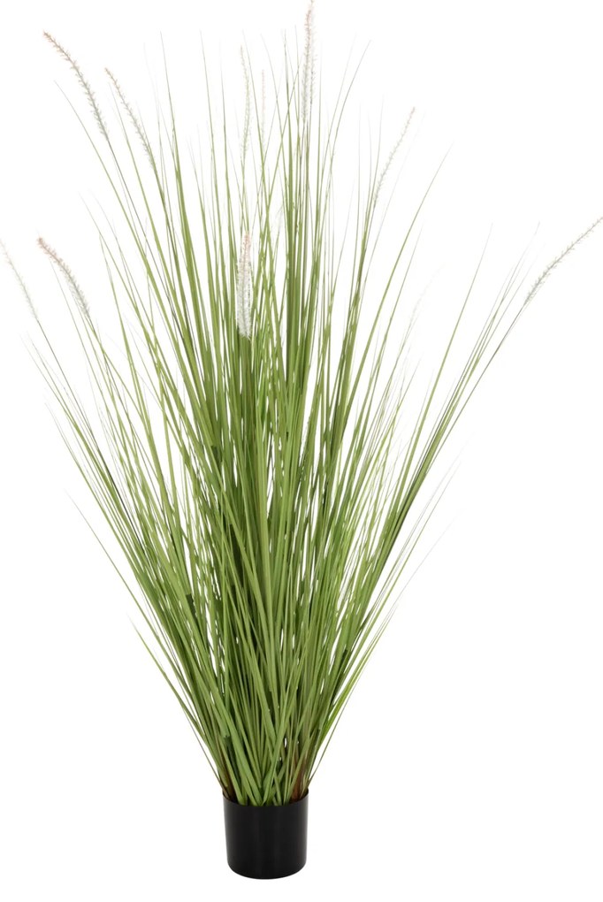 ΔΙΑΚΟΣΜΗΤΙΚΟ ΣΥΝΘΕΤΙΚΟ ΦΥΤΟ HM4017 BRISTLEGRASS ΣΕ ΓΛΑΣΤΡΑ 173Υεκ. - 0419673 - HM4017