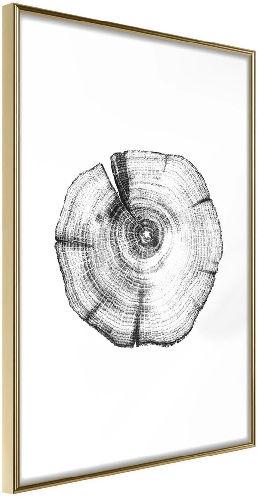 Αφίσα - Tree Rings - 20x30 - Χρυσό - Χωρίς πασπαρτού