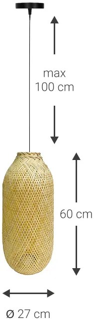 Φωτιστικό οροφής Siphon