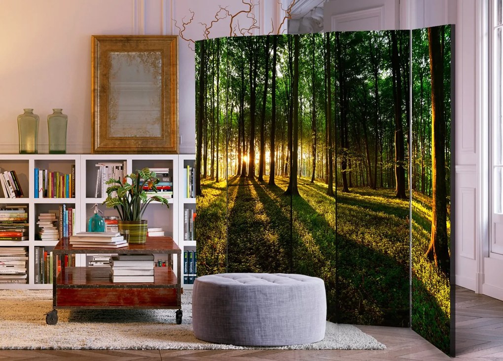 Διαχωριστικό με 5 τμήματα - Morning in the Forest II [Room Dividers] 225x172