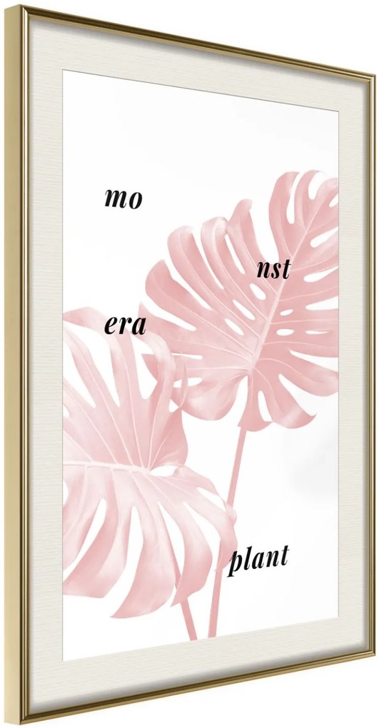 Αφίσα - Pale Pink Monstera - 20x30 - Χρυσό - Με πασπαρτού