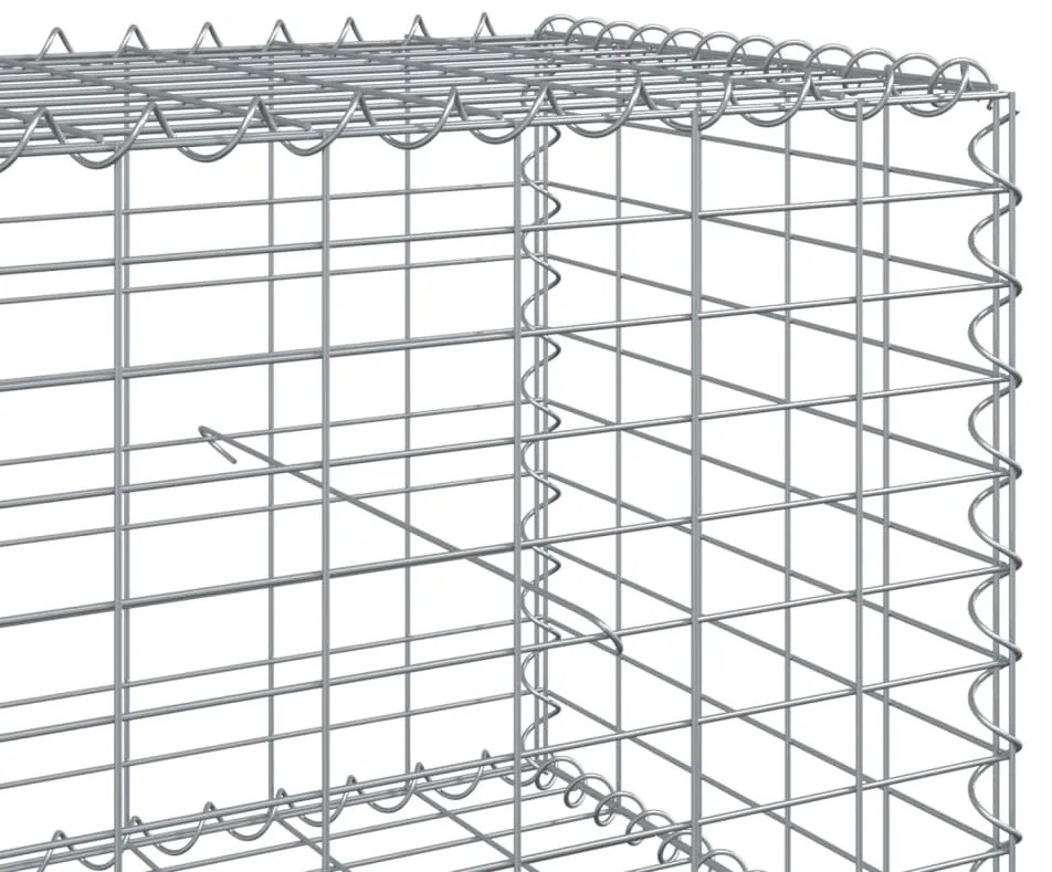 vidaXL Συρματοκιβώτιο με Κάλυμμα 600x100x50εκ. από Γαλβανισμένο Χάλυβα