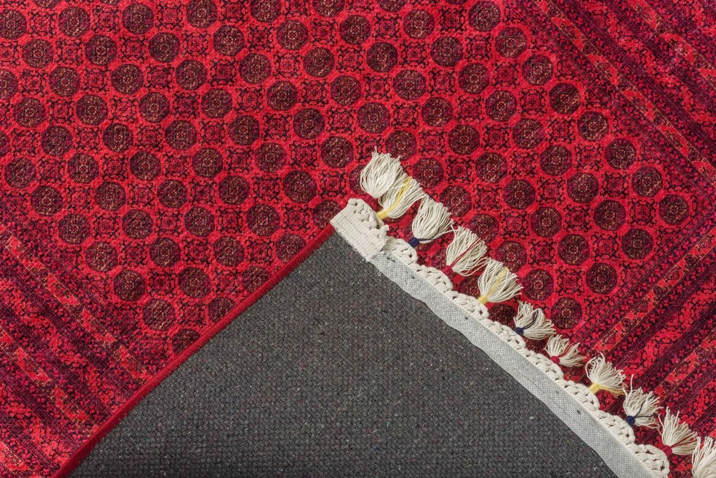 GLORIA 404 RED - 0.80x2.00