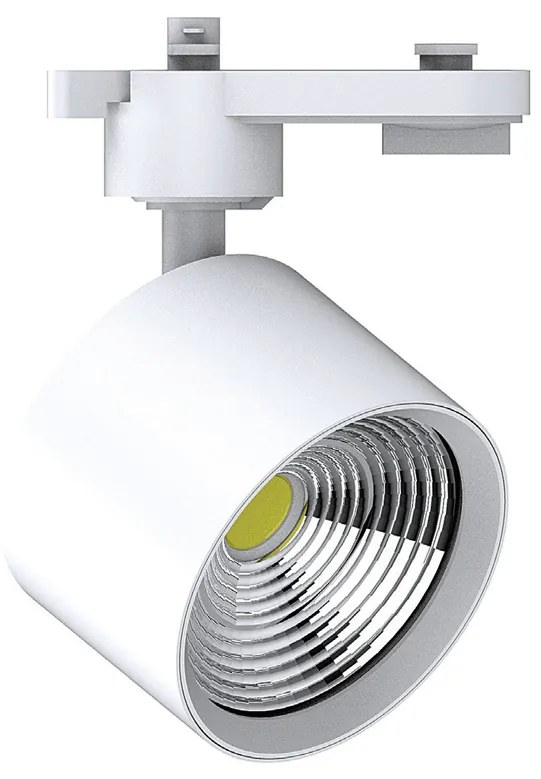 InLight Σποτ Ράγας Λευκό LED 10W 4000K D:5,5cmX10,5cm (T00502-WH)