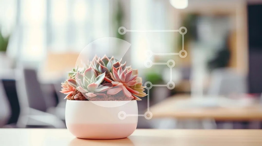 Intra Συλλεκτικό Ξύλινο Παζλ Plywood 4mm - Μικρό παχύφυτο σε γλάστρα σε τραπέζι γραφείου Σε Ξύλινο Κουτί - Διαστάσεις Puzzle: 10x10 cm – 25 κομμάτια