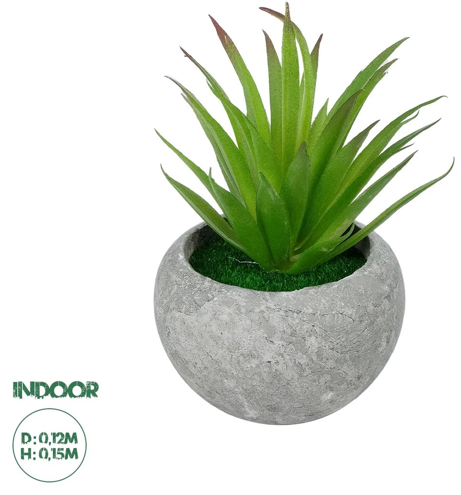 GloboStar® Artificial Garden AIR PLANT TILLANDSIA POTTED PLANT 21036 Διακοσμητικό Φυτό Τιλάντσια Φ12 x Υ15cm