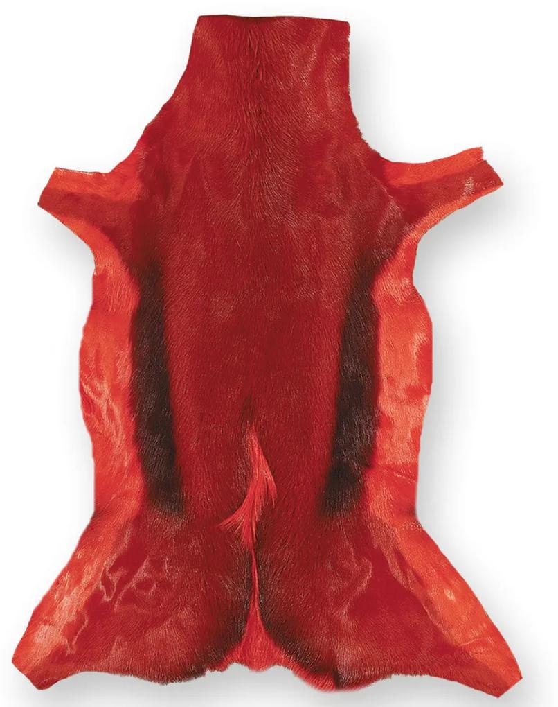 Δέρμα Γαζέλας Dyed Red - 55x90