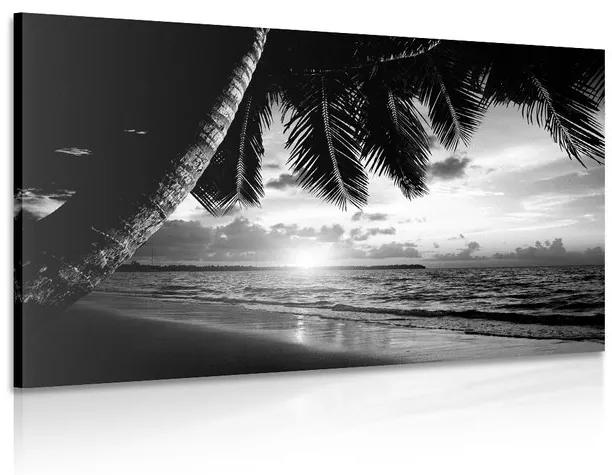 Ασπρόμαυρη εικόνα της ανατολής του ηλίου σε μια παραλία της Καραϊβικής - 120x80