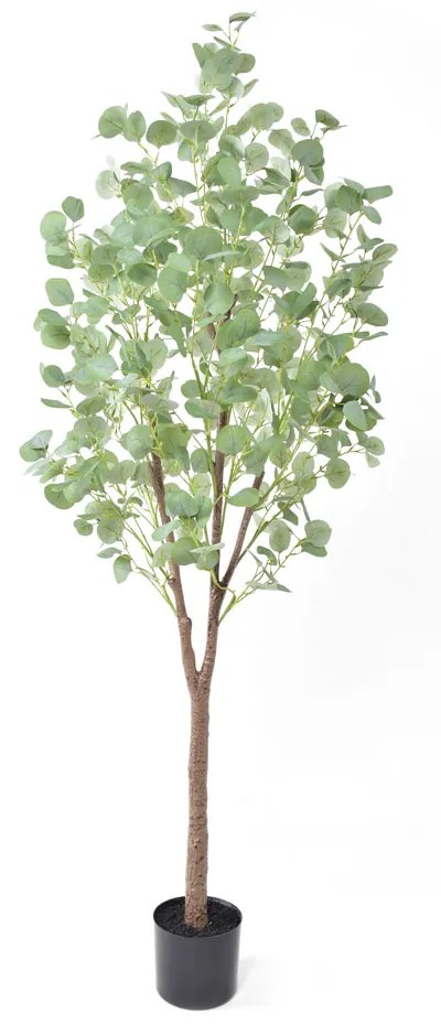 SILVER DOLLAR EUCALYPTUS ΤΕΧΝΗΤΟ ΦΥΤΟ ΣΕ ΓΛΑΣΤΡΑ PE ΜΕΤΑΞΩΤΟ ΥΦΑΣΜΑ ΠΡΑΣΙΝΟ H180cm - 029879