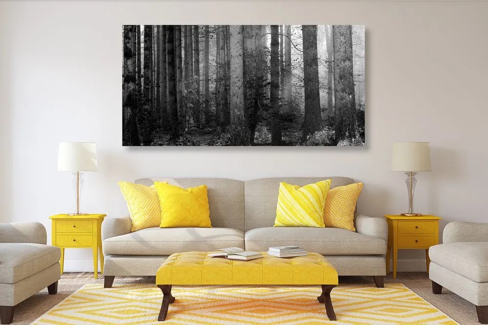 Εικόνα του μυστικού του δάσους σε ασπρόμαυρο - 120x60