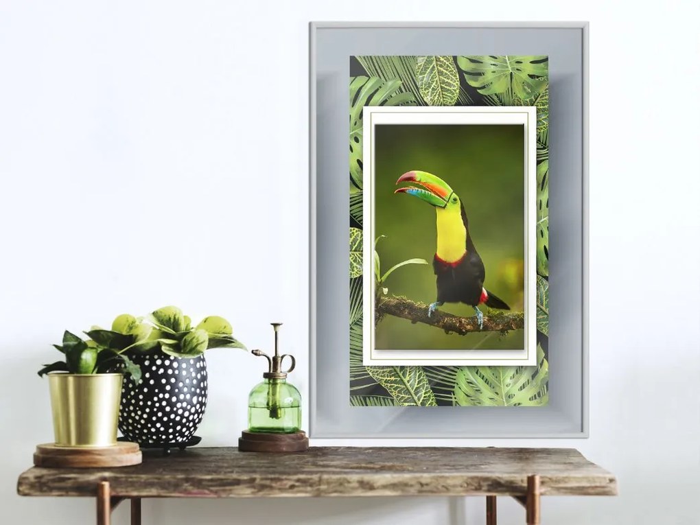 Αφίσα - Toucan in the Frame - 30x45 - Μαύρο - Χωρίς πασπαρτού