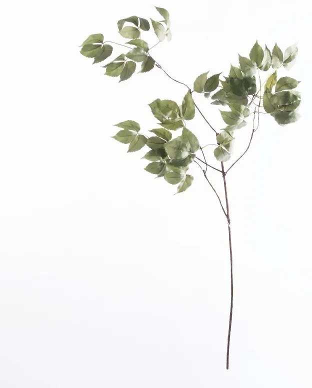 Supergreens Τεχνητό Κλαδί Κισσός Πράσινο 109 εκ