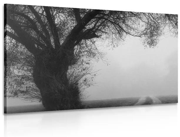 Εικόνα ενός τεράστιου ασπρόμαυρου δέντρου - 90x60